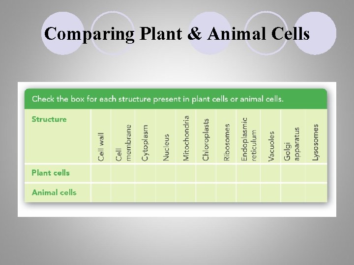 Comparing Plant & Animal Cells 