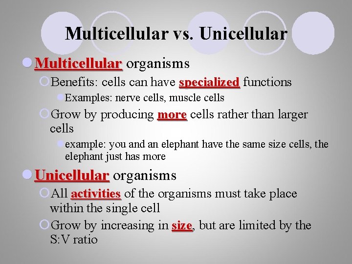 Multicellular vs. Unicellular l Multicellular organisms ¡Benefits: cells can have specialized functions l. Examples: