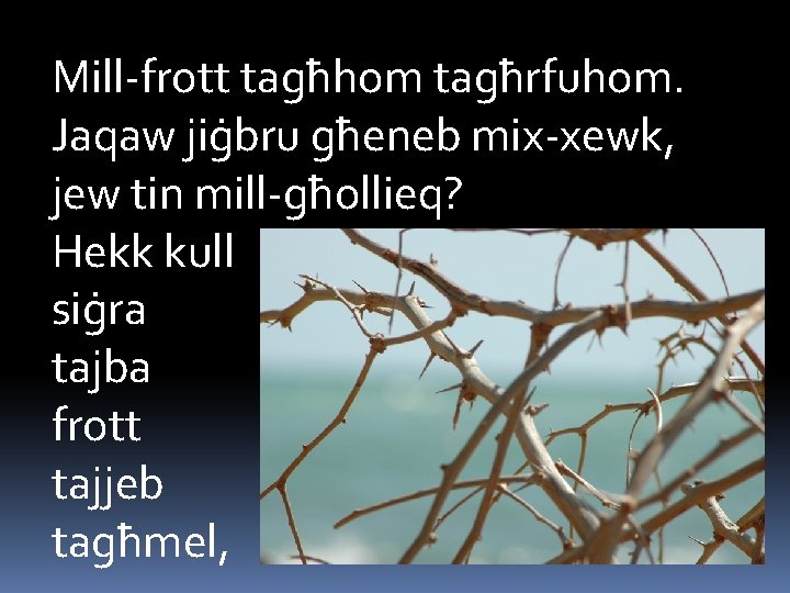 Mill-frott tagħhom tagħrfuhom. Jaqaw jiġbru għeneb mix-xewk, jew tin mill-għollieq? Hekk kull siġra tajba