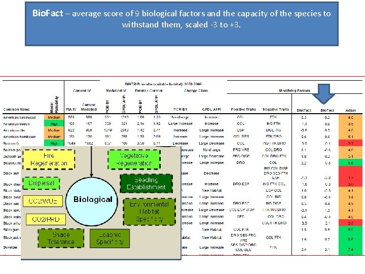 Bio. Fact – average score of 9 biological factors and the capacity of the