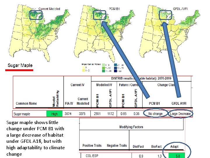 Sugar maple shows little change under PCM B 1 with a large decrease of