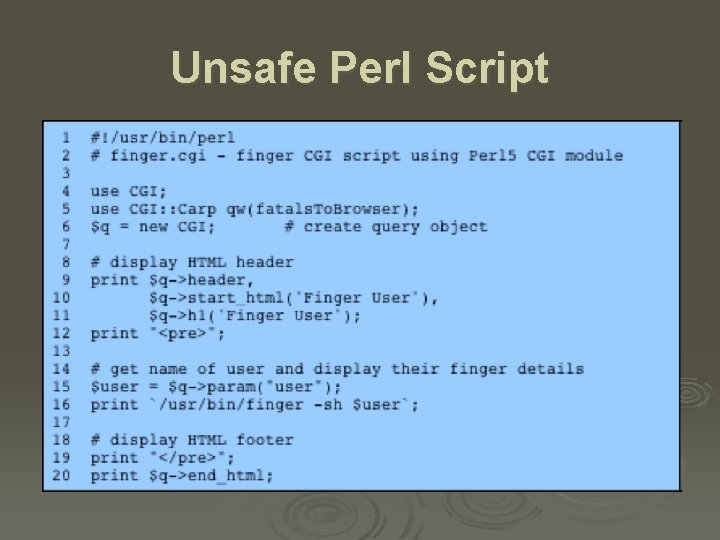 Unsafe Perl Script 