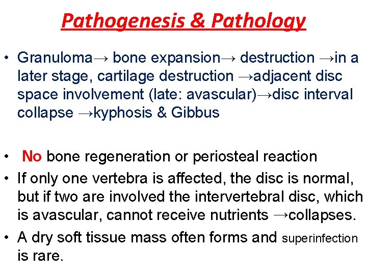 Pathogenesis & Pathology • Granuloma→ bone expansion→ destruction →in a later stage, cartilage destruction