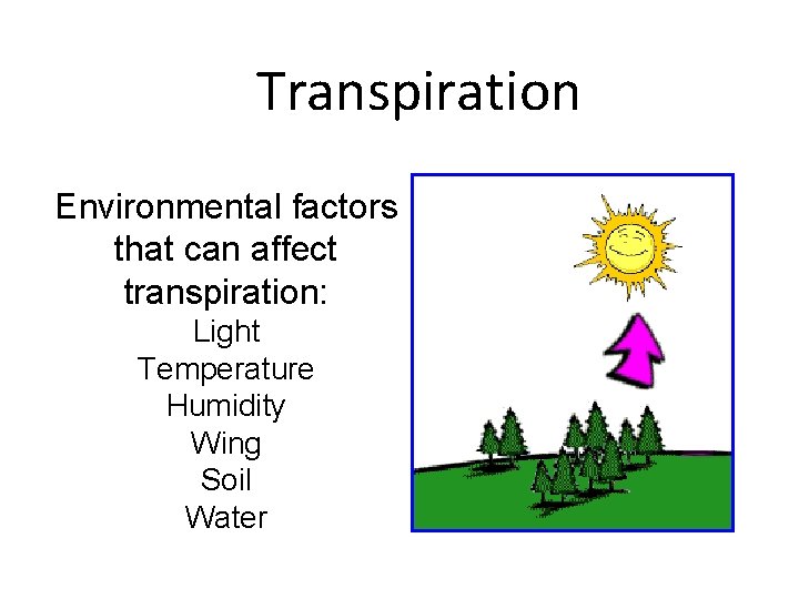 Transpiration Environmental factors that can affect transpiration: Light Temperature Humidity Wing Soil Water 
