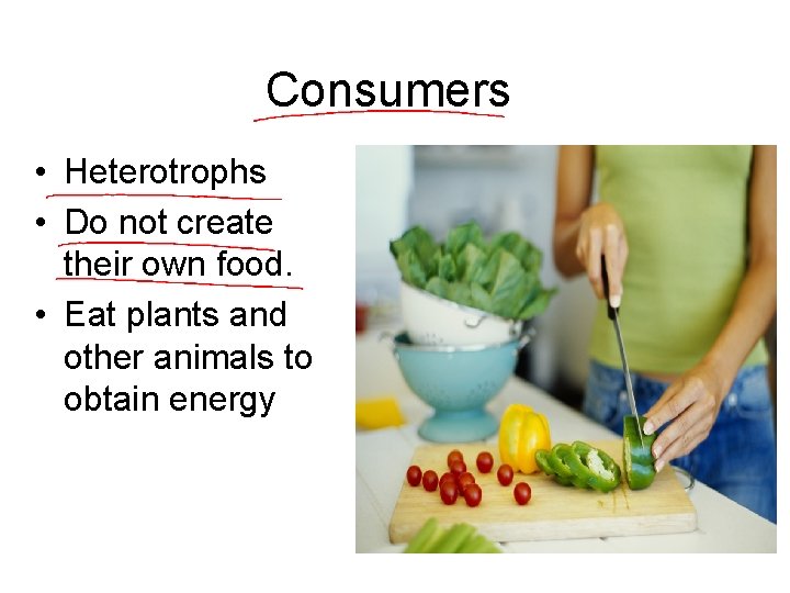 Consumers • Heterotrophs • Do not create their own food. • Eat plants and