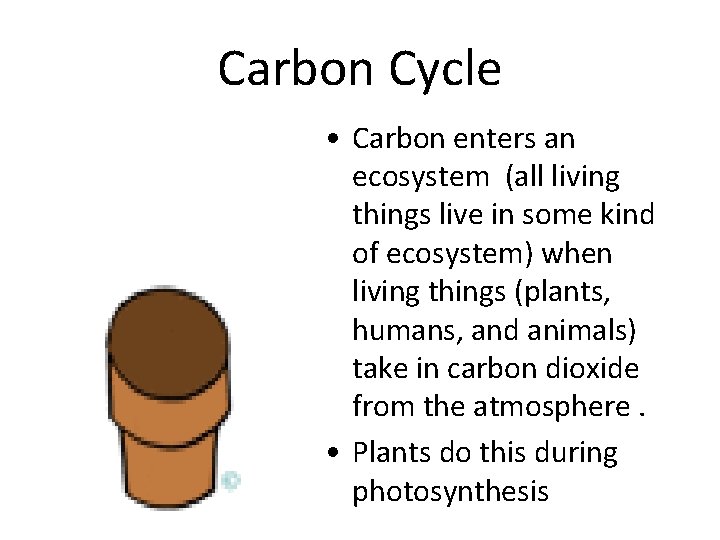 Carbon Cycle • Carbon enters an ecosystem (all living things live in some kind
