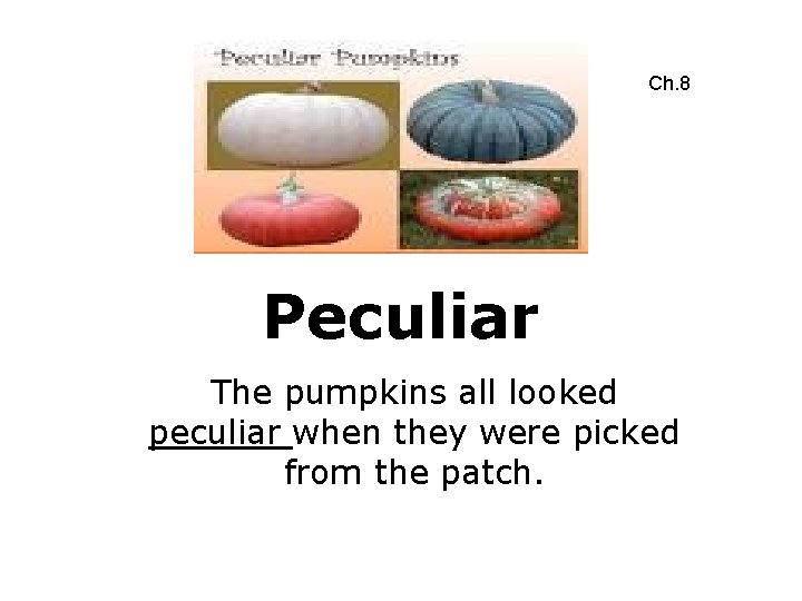 Ch. 8 Peculiar The pumpkins all looked peculiar when they were picked from the