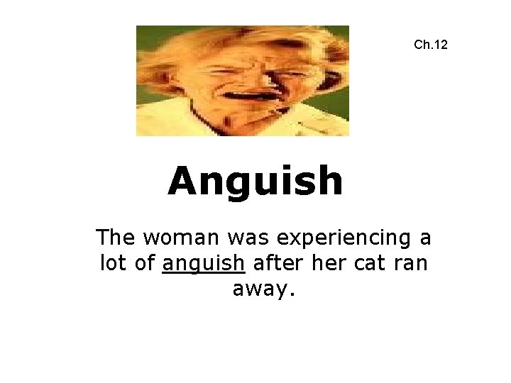 Ch. 12 Anguish The woman was experiencing a lot of anguish after her cat
