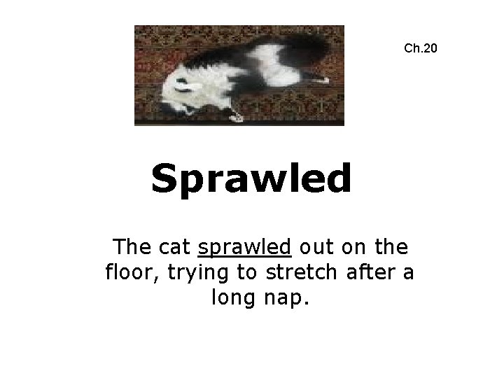 Ch. 20 Sprawled The cat sprawled out on the floor, trying to stretch after