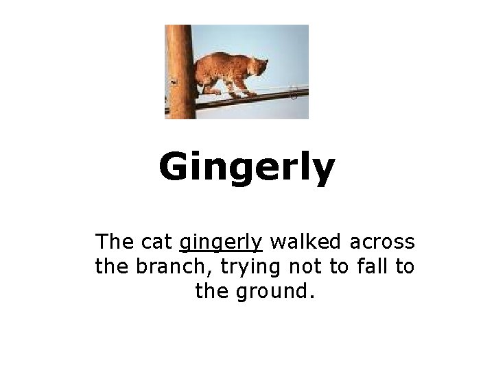 Gingerly The cat gingerly walked across the branch, trying not to fall to the