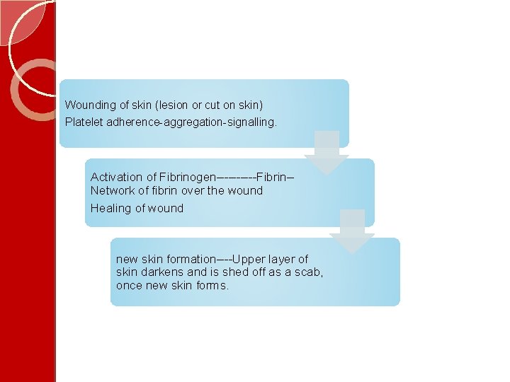 Wounding of skin (lesion or cut on skin) Platelet adherence-aggregation-signalling. Activation of Fibrinogen-----Fibrin-Network of
