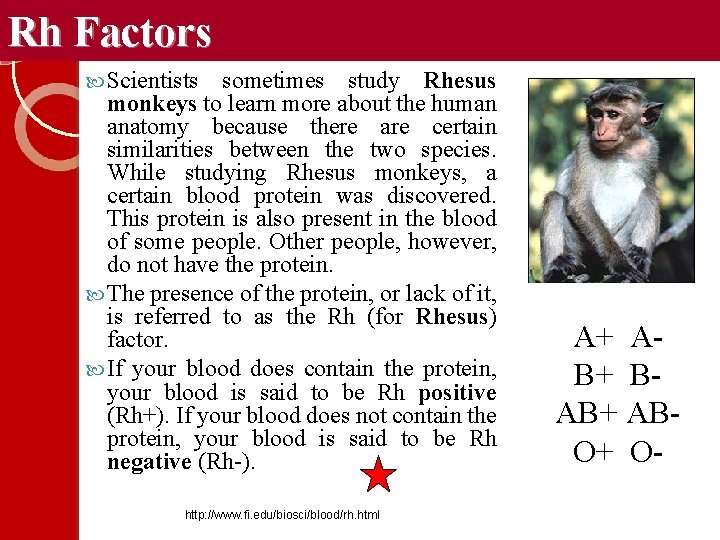 Rh Factors Scientists sometimes study Rhesus monkeys to learn more about the human anatomy