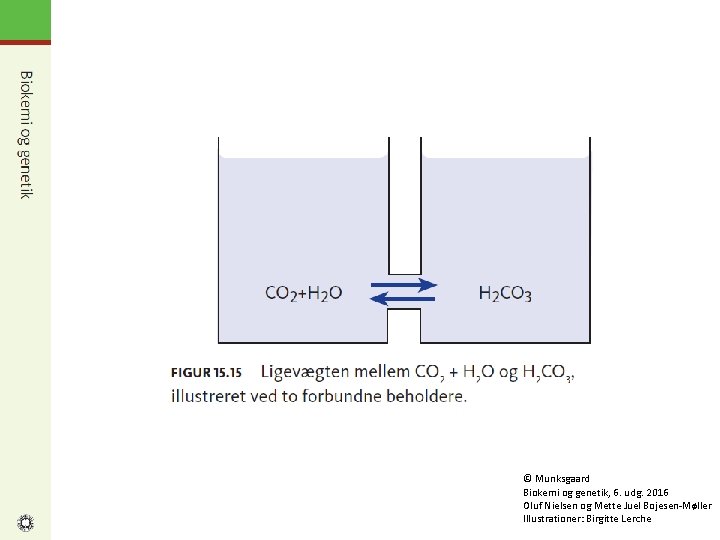 © Munksgaard Biokemi og genetik, 6. udg. 2016 Oluf Nielsen og Mette Juel Bojesen-Møller
