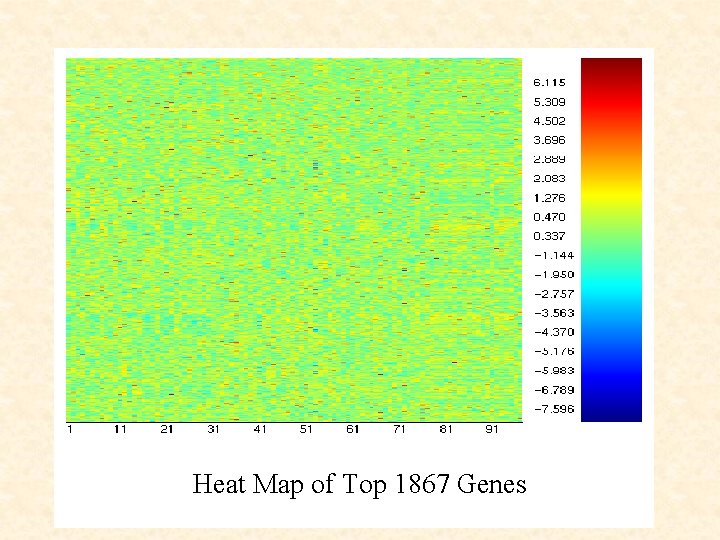 Insert heat map of 1867 genes Heat Map of Top 1867 Genes 