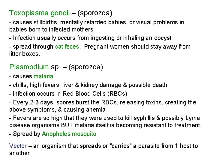 Toxoplasma gondii – (sporozoa) - causes stillbirths, mentally retarded babies, or visual problems in