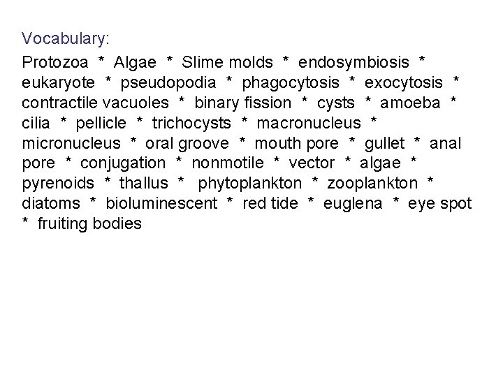 Vocabulary: Protozoa * Algae * Slime molds * endosymbiosis * eukaryote * pseudopodia *