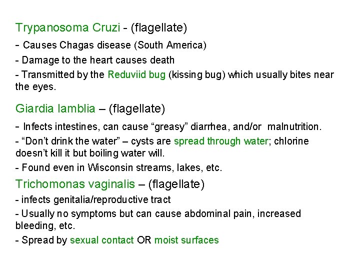 Trypanosoma Cruzi - (flagellate) - Causes Chagas disease (South America) - Damage to the