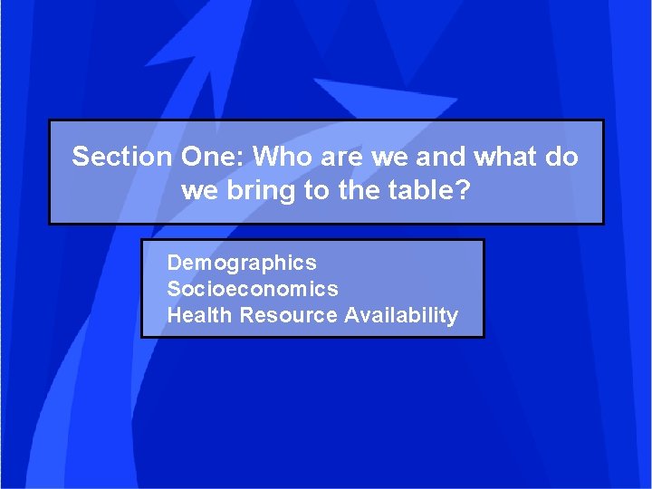 Section One: Who are we and what do we bring to the table? Demographics