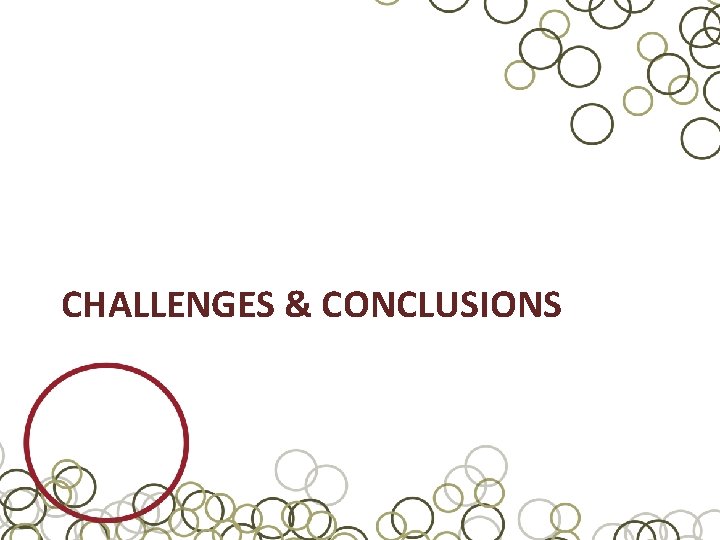 CHALLENGES & CONCLUSIONS 