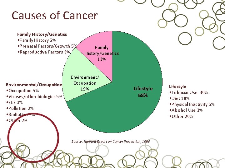 Causes of Cancer Family History/Genetics • Family History 5% • Prenatal Factors/Growth 5% •
