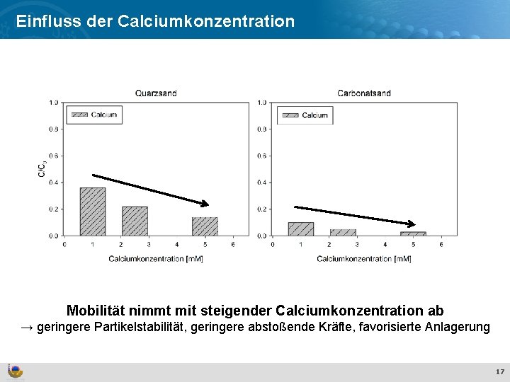 Effekte und Verhalten von Ti. O Einfluss der Calciumkonzentration 2 Nanopartikeln in der aquatischen