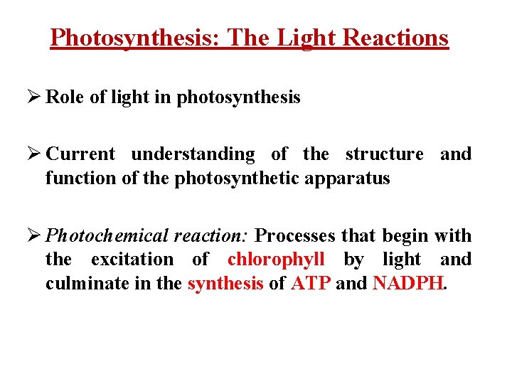 Photosynthesis: The Light Reactions Ø Role of light in photosynthesis Ø Current understanding of