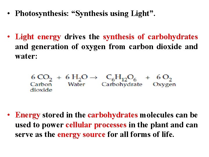  • Photosynthesis: “Synthesis using Light”. • Light energy drives the synthesis of carbohydrates