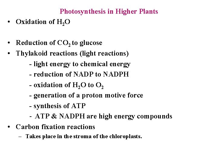 Photosynthesis in Higher Plants • Oxidation of H 2 O • Reduction of CO