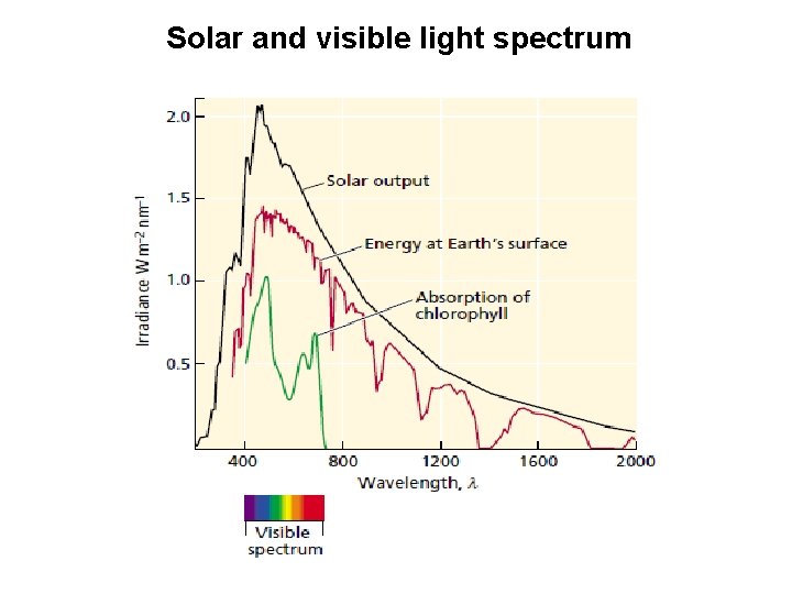 Solar and visible light spectrum 