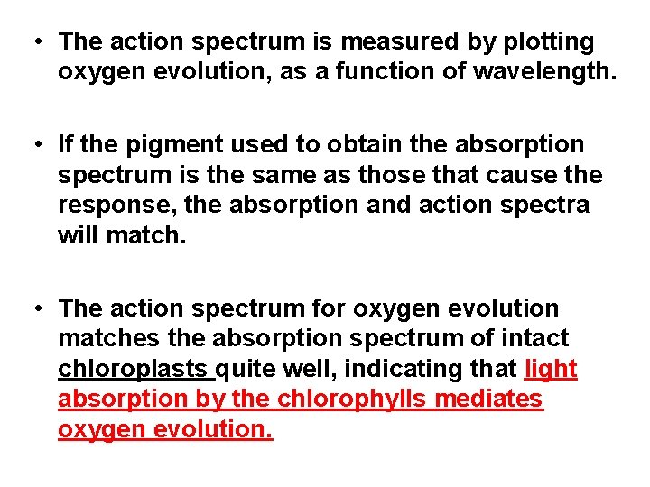  • The action spectrum is measured by plotting oxygen evolution, as a function