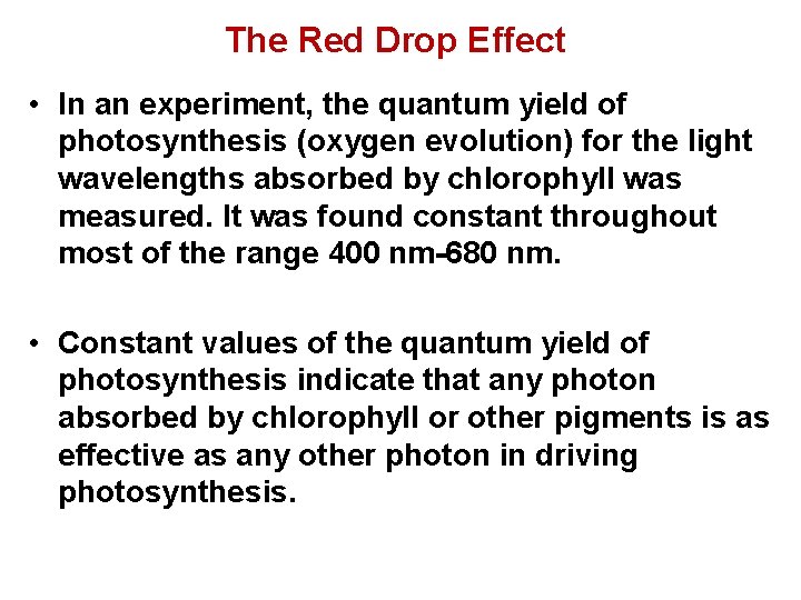 The Red Drop Effect • In an experiment, the quantum yield of photosynthesis (oxygen