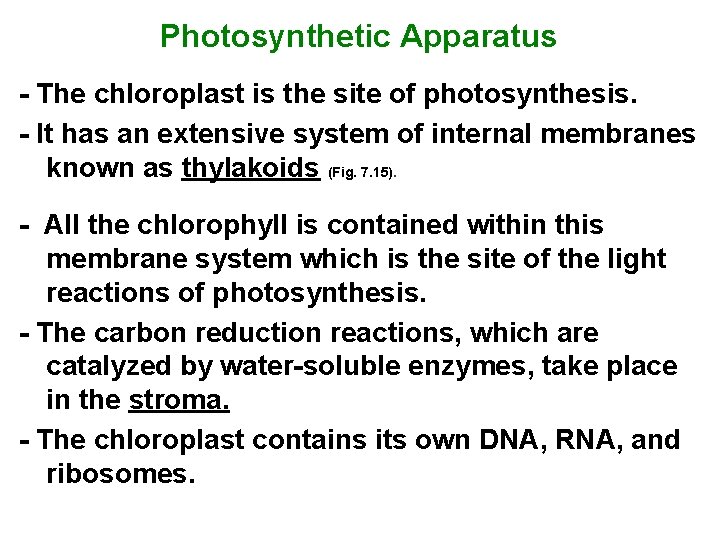 Photosynthetic Apparatus - The chloroplast is the site of photosynthesis. - It has an