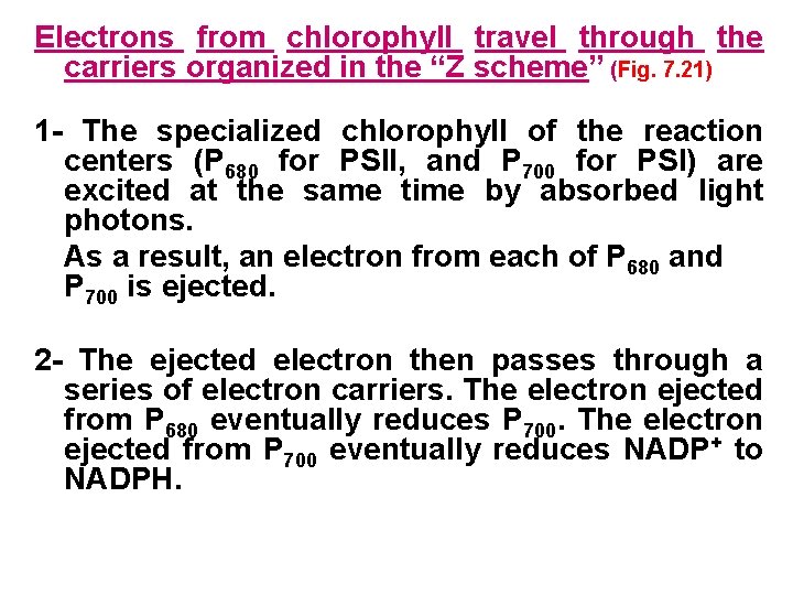 Electrons from chlorophyll travel through the carriers organized in the “Z scheme” (Fig. 7.
