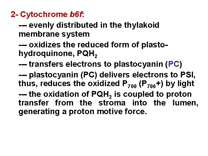2 - Cytochrome b 6 f: --- evenly distributed in the thylakoid membrane system