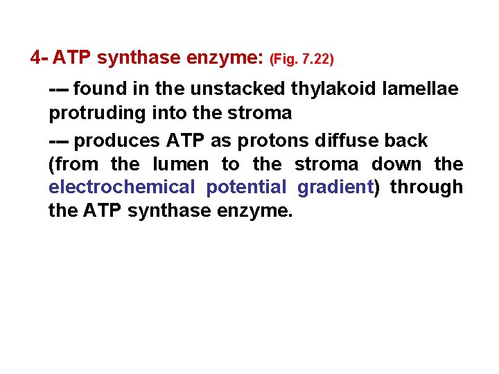 4 - ATP synthase enzyme: (Fig. 7. 22) --- found in the unstacked thylakoid
