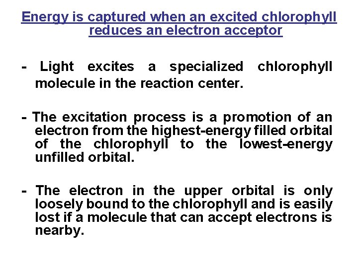 Energy is captured when an excited chlorophyll reduces an electron acceptor - Light excites