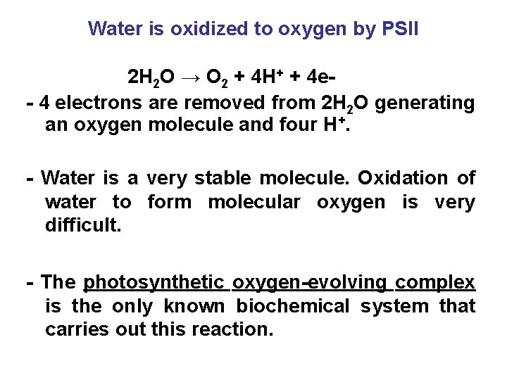 Water is oxidized to oxygen by PSII 2 H 2 O → O 2