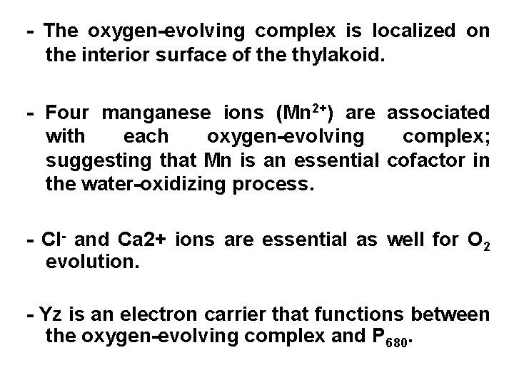 - The oxygen-evolving complex is localized on the interior surface of the thylakoid. -