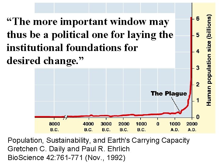 “The more important window may thus be a political one for laying the institutional