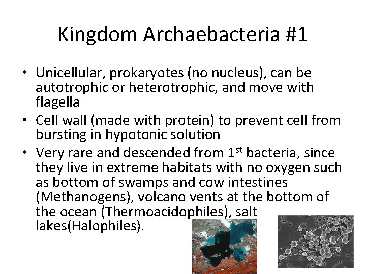 Kingdom Notes Kingdom Archaebacteria 1 Unicellular prokaryotes no