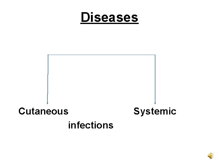 Diseases Cutaneous infections Systemic 