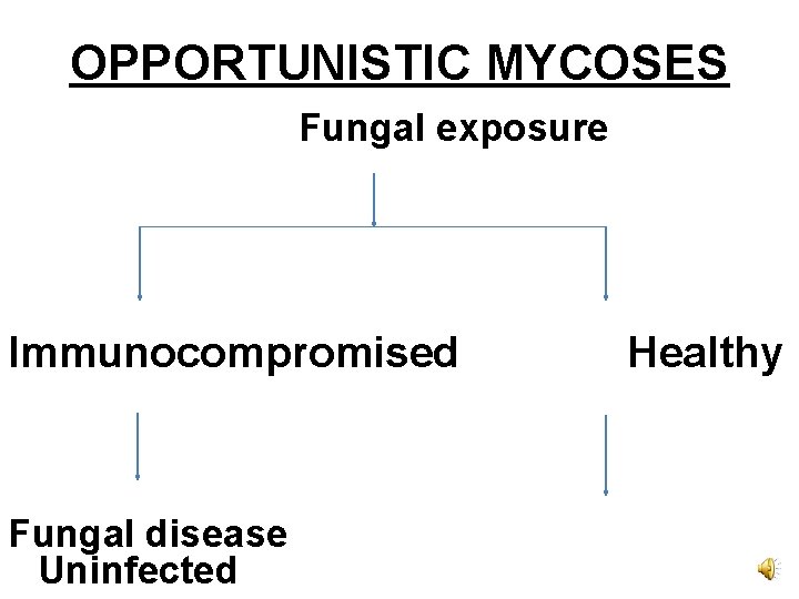 OPPORTUNISTIC MYCOSES Fungal exposure Immunocompromised Fungal disease Uninfected Healthy 