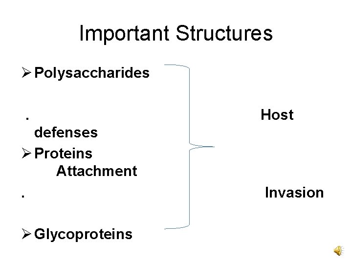 Important Structures Ø Polysaccharides. Host defenses Ø Proteins Attachment. Invasion Ø Glycoproteins 