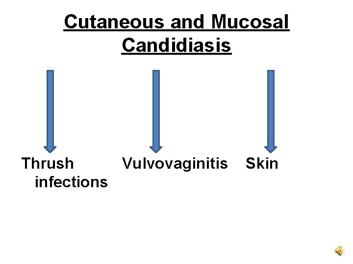 Cutaneous and Mucosal Candidiasis Thrush Vulvovaginitis infections Skin 