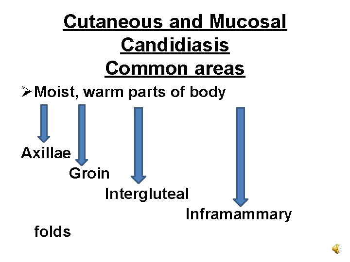 Cutaneous and Mucosal Candidiasis Common areas Ø Moist, warm parts of body Axillae Groin