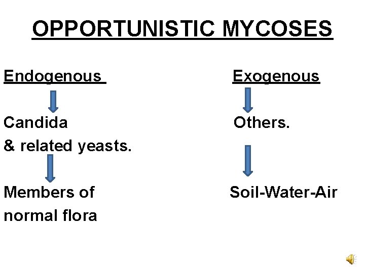 OPPORTUNISTIC MYCOSES Endogenous Exogenous Candida & related yeasts. Others. Members of normal flora Soil-Water-Air