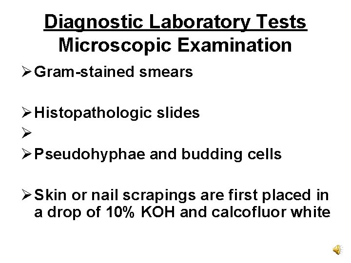 Diagnostic Laboratory Tests Microscopic Examination Ø Gram-stained smears Ø Histopathologic slides Ø Ø Pseudohyphae