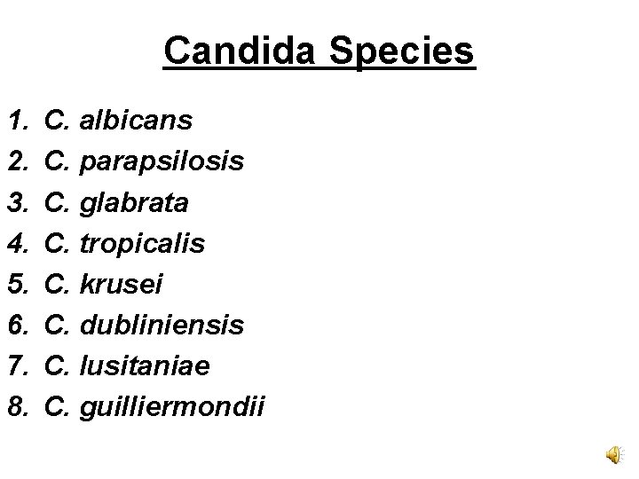 Candida Species 1. 2. 3. 4. 5. 6. 7. 8. C. albicans C. parapsilosis