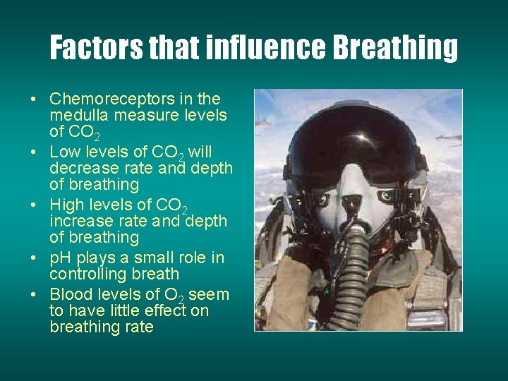 Factors that influence Breathing • Chemoreceptors in the medulla measure levels of CO 2