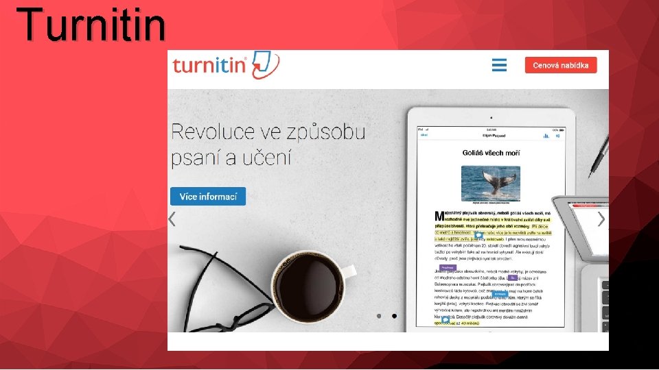 Turnitin 